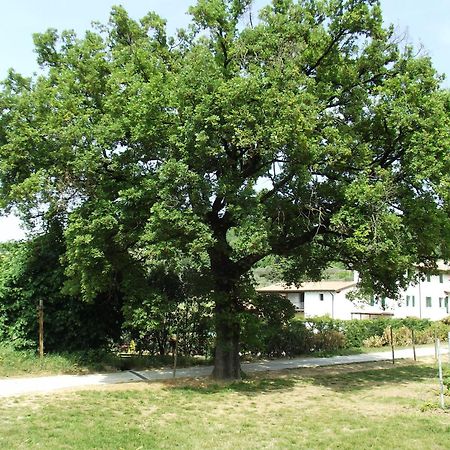 Agriturismo Ca' Castellani Bardolino Kültér fotó