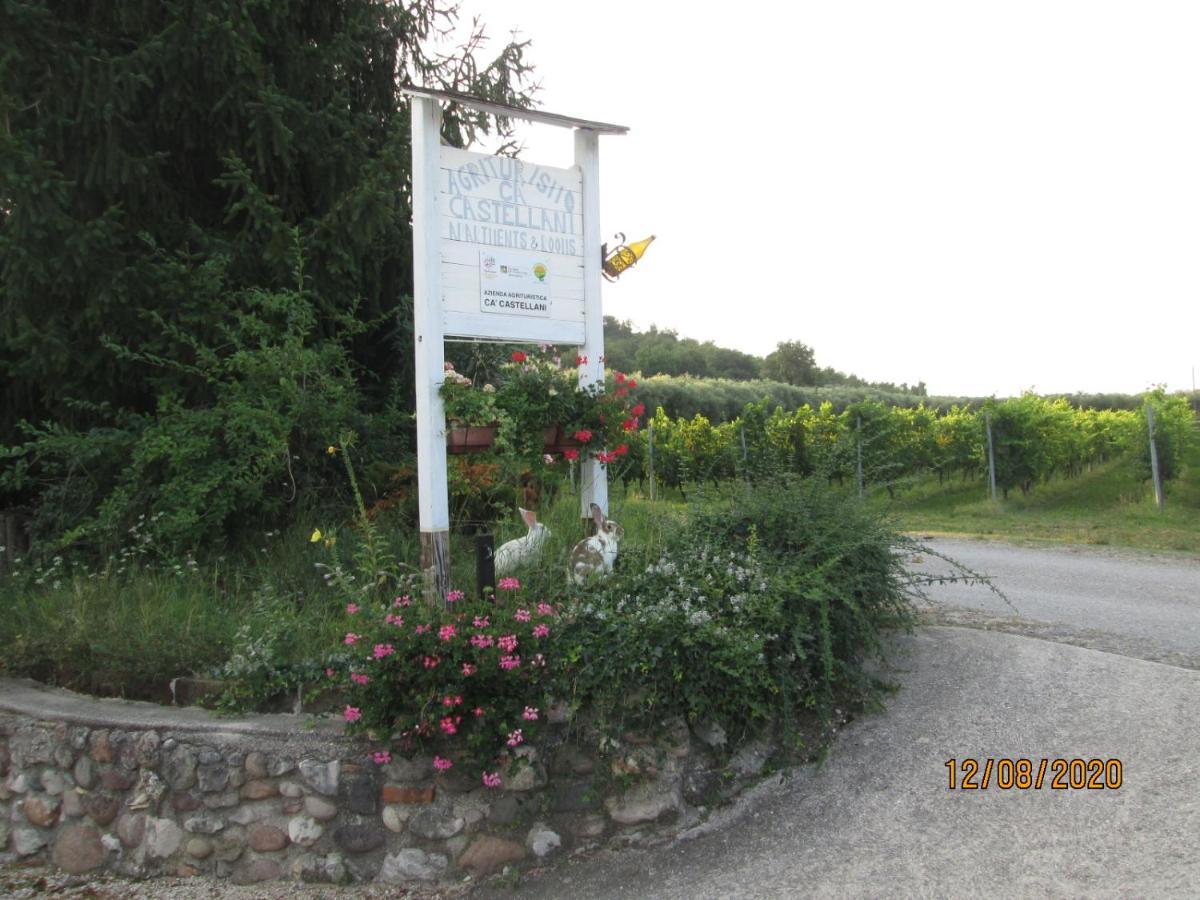 Agriturismo Ca' Castellani Bardolino Kültér fotó