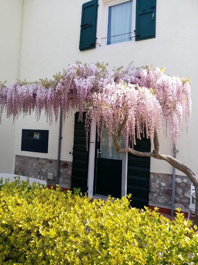 Agriturismo Ca' Castellani Bardolino Kültér fotó