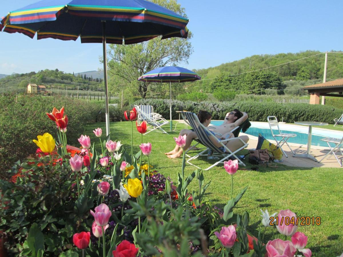 Agriturismo Ca' Castellani Bardolino Kültér fotó