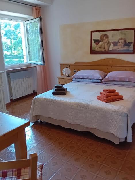 Agriturismo Ca' Castellani Bardolino Kültér fotó