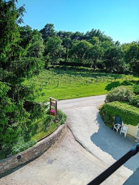 Agriturismo Ca' Castellani Bardolino Kültér fotó